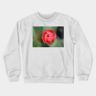 You are Braver than you believe. Crewneck Sweatshirt